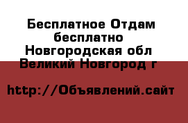 Бесплатное Отдам бесплатно. Новгородская обл.,Великий Новгород г.